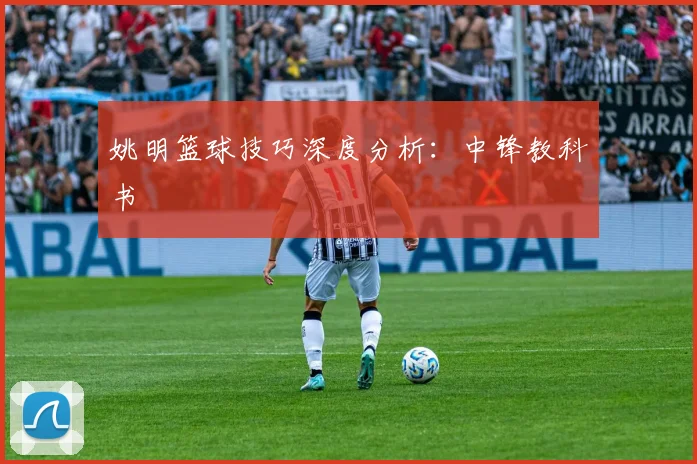 姚明篮球技巧深度分析:中锋教科书