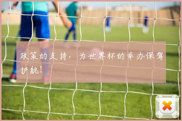 政策的支持，为世界杯的举办保驾护航！