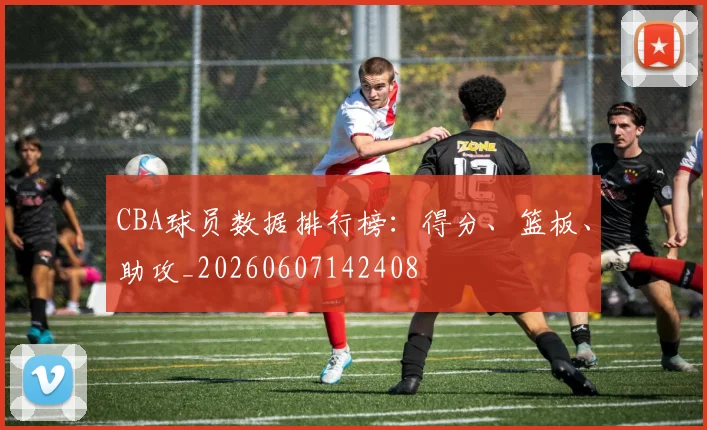 CBA球员数据排行榜：得分、篮板、助攻_20260607142408