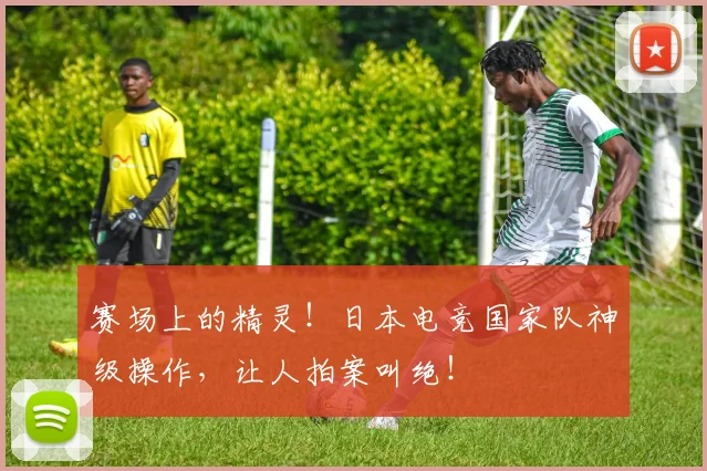 赛场上的精灵!日本电竞国家队神级操作,让人拍案叫绝!
